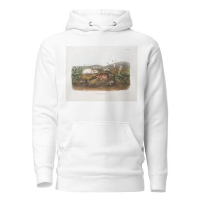 Myodes Hudsonius, Hudson Bay Lemming. Natural size. by John Woodhouse Audubon Hoodie