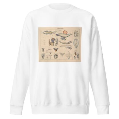 Abbildungen zu Oken’s Allgemeiner Naturgeschichte für alle Stände Pl.071 by Lorenz Oken Sweatshirt