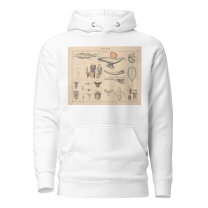 Abbildungen zu Oken’s Allgemeiner Naturgeschichte für alle Stände Pl.071 by Lorenz Oken Hoodie