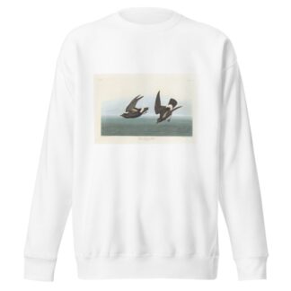 Least stormy-petrel by John James Audubon Sweatshirt
