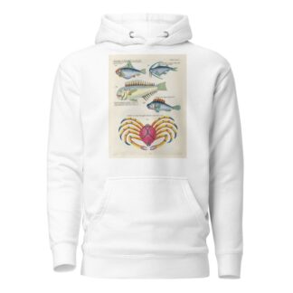 Poissons, ecrevisses et crabes, de diverses couleurs et figures extraordinaires.. Pl.066 by Louis Renard Hoodie