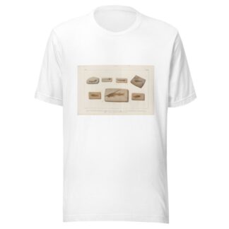 Recherches sur les poissons fossiles Pl.382 by Louis Agassiz T-Shirt