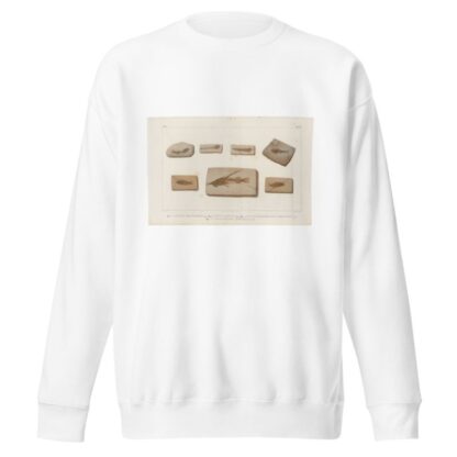 Recherches sur les poissons fossiles Pl.382 by Louis Agassiz Sweatshirt