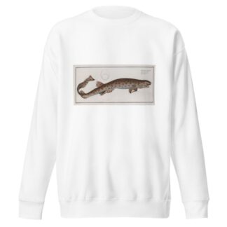 Squalus Canicula, The Bounce. by Marcus Elieser Bloch Sweatshirt