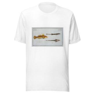 1. 2. Cottus monopterigius; 3. Gobius Plümieri. by Marcus Elieser Bloch T-Shirt