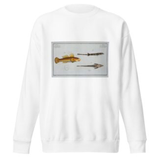 1. 2. Cottus monopterigius; 3. Gobius Plümieri. by Marcus Elieser Bloch Sweatshirt