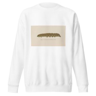 Entomology watercolour Pl.028 by George Hudson Sweatshirt