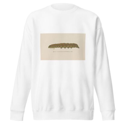 Entomology watercolour Pl.028 by George Hudson Sweatshirt