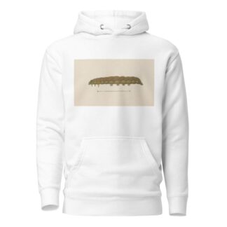 Entomology watercolour Pl.028 by George Hudson Hoodie