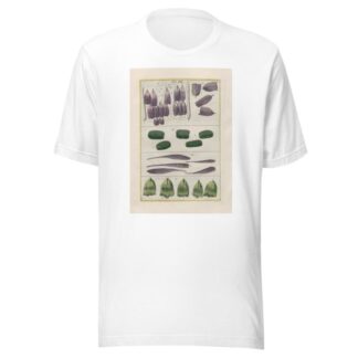 Rerum naturalium historia nempe quadrupedum Pl.19 by Filippo Buonanni T-Shirt