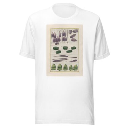 Rerum naturalium historia nempe quadrupedum Pl.19 by Filippo Buonanni T-Shirt