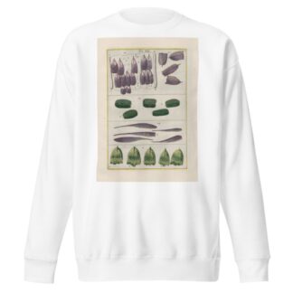Rerum naturalium historia nempe quadrupedum Pl.19 by Filippo Buonanni Sweatshirt