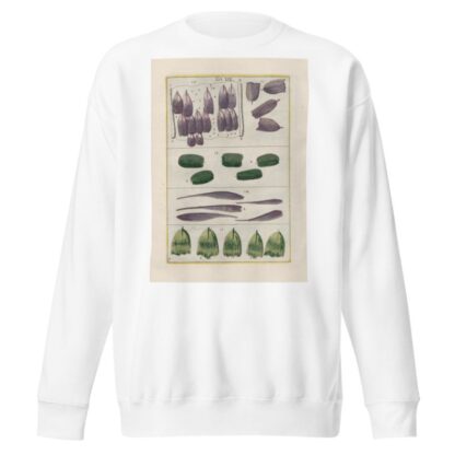 Rerum naturalium historia nempe quadrupedum Pl.19 by Filippo Buonanni Sweatshirt