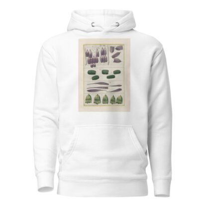 Rerum naturalium historia nempe quadrupedum Pl.19 by Filippo Buonanni Hoodie