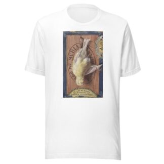 Trompe L’Oeil; Yellow Canary by John Haberle T-Shirt