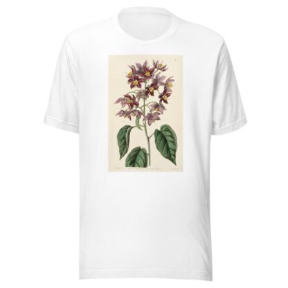 Large-anthered Bitter-sweet by Sydenham Edwards T-Shirt