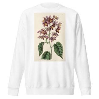 Large-anthered Bitter-sweet by Sydenham Edwards Sweatshirt