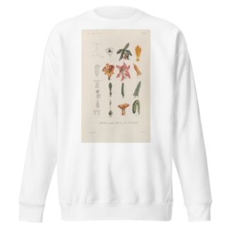 Traité de botanique générale Pl.097 by François Hérincq Sweatshirt