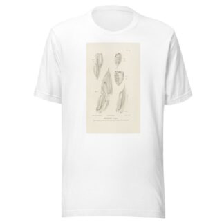 Centurie zoologique Pl.56 by René-Primevère Lesson T-Shirt