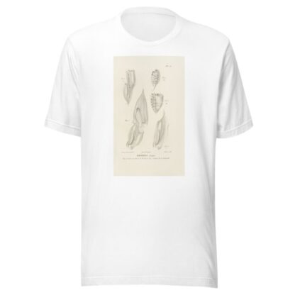 Centurie zoologique Pl.56 by René-Primevère Lesson T-Shirt