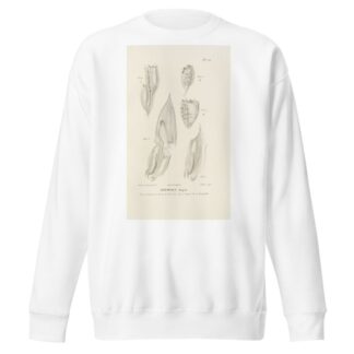 Centurie zoologique Pl.56 by René-Primevère Lesson Sweatshirt