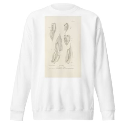 Centurie zoologique Pl.56 by René-Primevère Lesson Sweatshirt