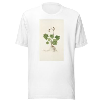 Cortusa matthioli by Nikolaus Joseph Freiherr von Jacquin T-Shirt