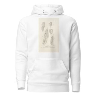 Centurie zoologique Pl.56 by René-Primevère Lesson Hoodie