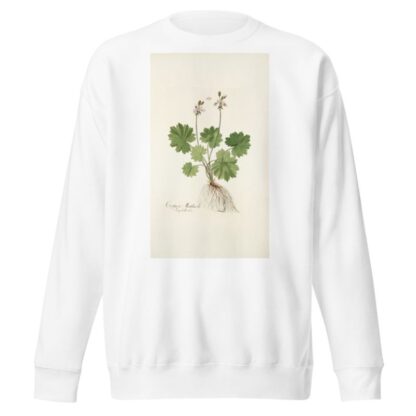 Cortusa matthioli by Nikolaus Joseph Freiherr von Jacquin Sweatshirt