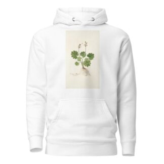 Cortusa matthioli by Nikolaus Joseph Freiherr von Jacquin Hoodie