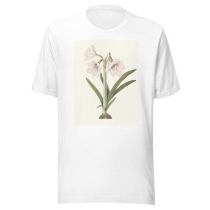 Amaryllis Picta. by Priscilla Susan Bury T-Shirt