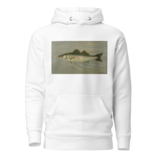 The Striped Bass, Roccus lineatus. by John L. Petrie Hoodie