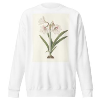 Amaryllis Picta. by Priscilla Susan Bury Sweatshirt