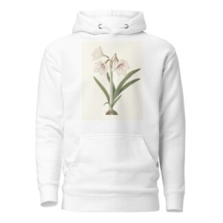 Amaryllis Picta. by Priscilla Susan Bury Hoodie