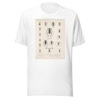 Insecta Coleoptera Pl 211 by Frederick DuCane Godman T-Shirt