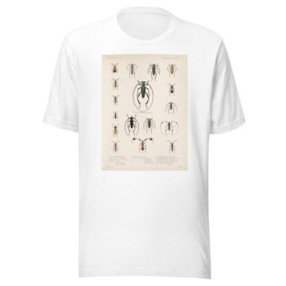 Insecta Coleoptera Pl 211 by Frederick DuCane Godman T-Shirt