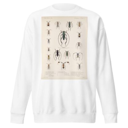 Insecta Coleoptera Pl 211 by Frederick DuCane Godman Sweatshirt
