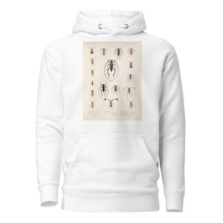 Insecta Coleoptera Pl 211 by Frederick DuCane Godman Hoodie
