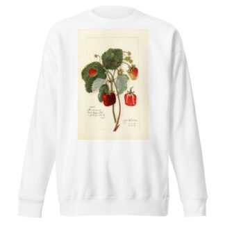 Fragaria: Indiana by Amanda Almira Newton Sweatshirt