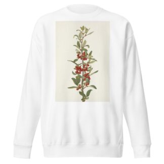 Canada Buffaloberry. Lepargyrea canadensis by Mary Vaux Walcott Sweatshirt