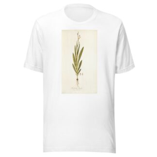 Gladiolus bicolor by Nikolaus Joseph Freiherr von Jacquin T-Shirt