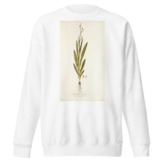 Gladiolus bicolor by Nikolaus Joseph Freiherr von Jacquin Sweatshirt