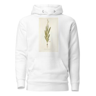 Gladiolus bicolor by Nikolaus Joseph Freiherr von Jacquin Hoodie