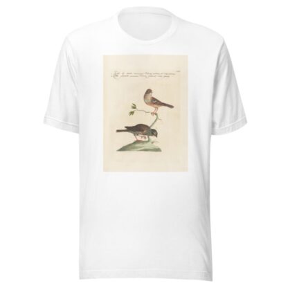Ornithologia methodice digesta Pl.332 by Saverio Manetti T-Shirt