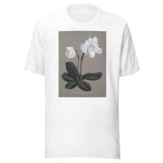 Collection d’orchidées Pl.29 by Anonymous T-Shirt