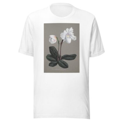 Collection d’orchidées Pl.29 by Anonymous T-Shirt