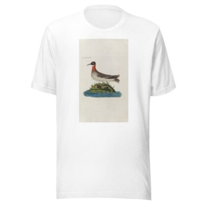 Icones rerum naturalium, ou figures enluminées d’histoire naturelle du nord Pl.20 by Peder Ascanius T-Shirt