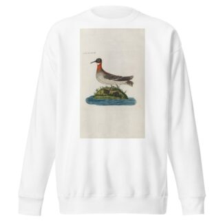 Icones rerum naturalium, ou figures enluminées d’histoire naturelle du nord Pl.20 by Peder Ascanius Sweatshirt