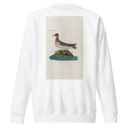 Icones rerum naturalium, ou figures enluminées d’histoire naturelle du nord Pl.20 by Peder Ascanius Sweatshirt