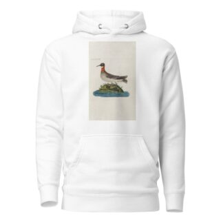 Icones rerum naturalium, ou figures enluminées d’histoire naturelle du nord Pl.20 by Peder Ascanius Hoodie